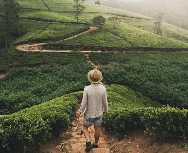 Top 5 Free Things to Do in Nuwara Eliya for Budget Travelers