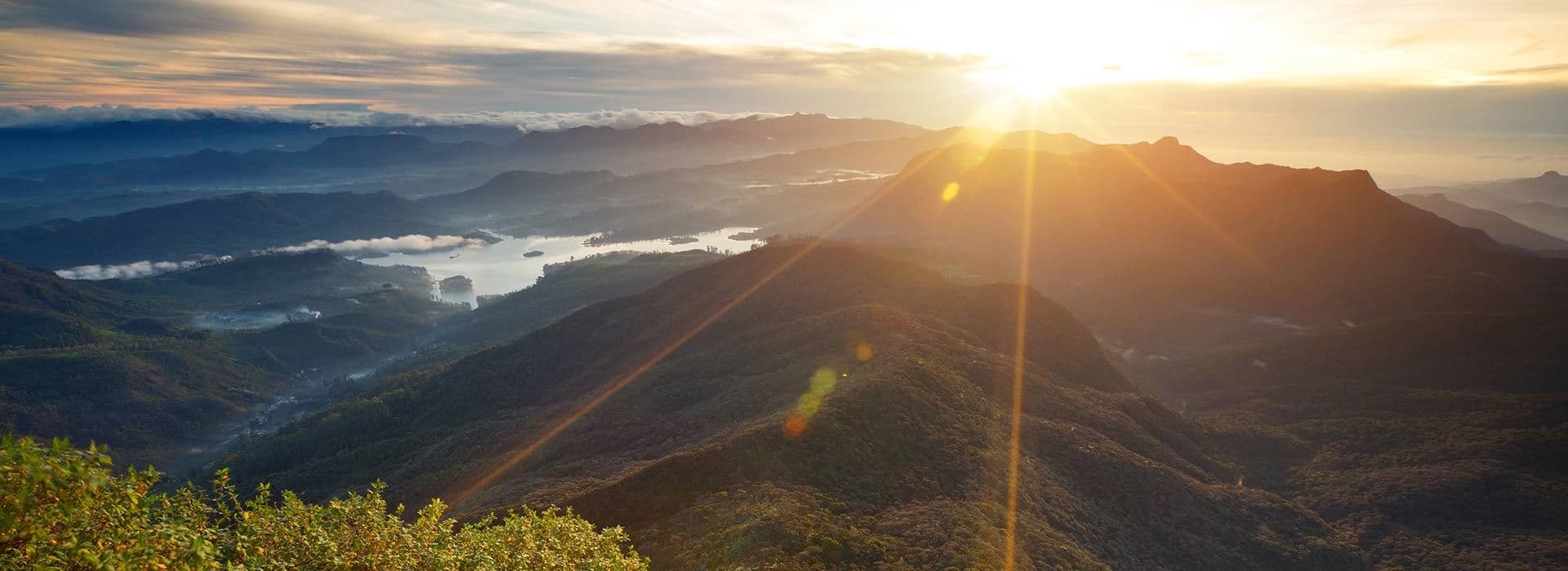 A Tea Lover's Dream: The Best Tea Factories to Visit in Nuwara Eliya