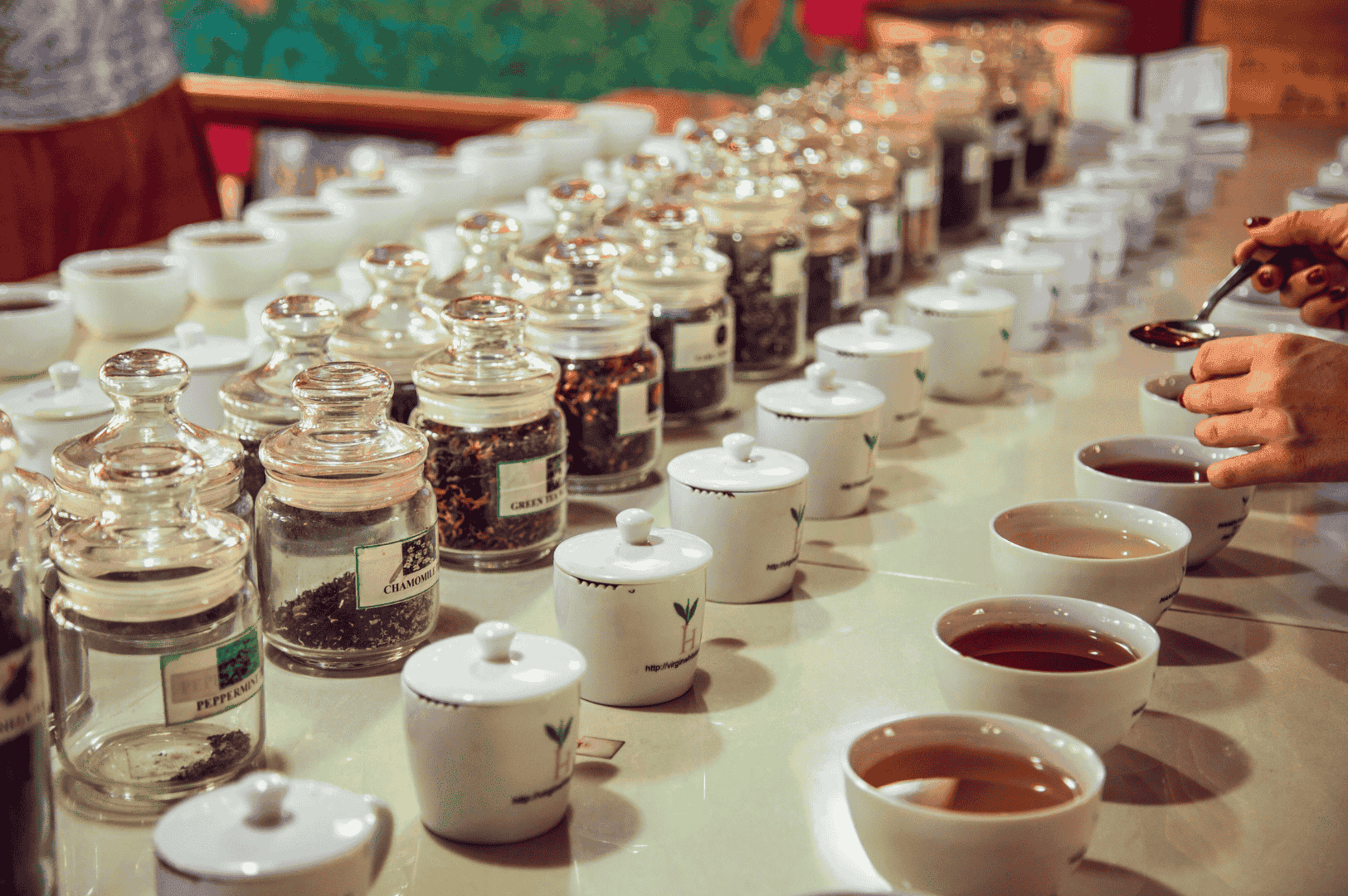 Which Tea Factory Tour Has the Best Tasting? A Comparison of Nuwara Eliya Tea Blends