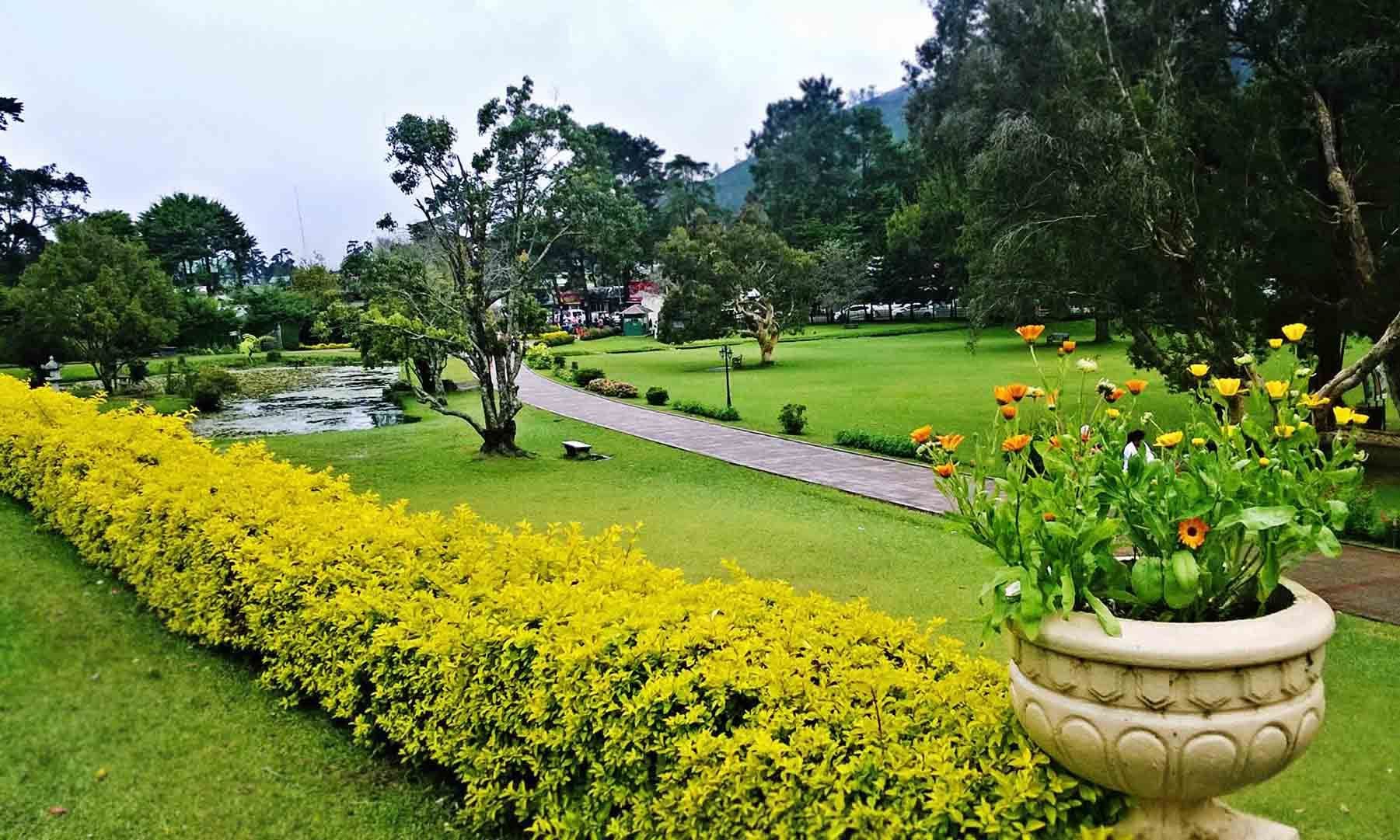 Nuwara Eliya’s Floral Oasis: Strolling Through Victoria Park