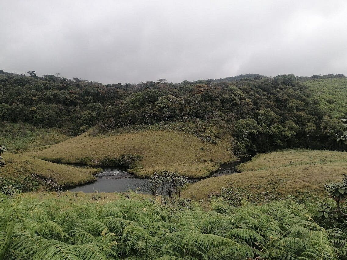 Horton Plains National Park: The World's End Trek