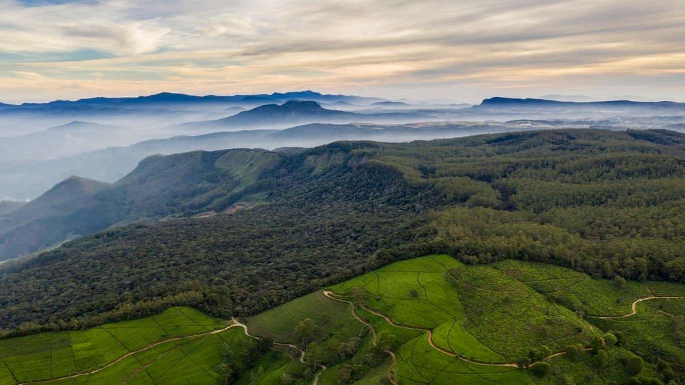 Hakgala Botanical Gardens: A Seasonal Guide to the Flowers of Sri Lanka's Hill Country