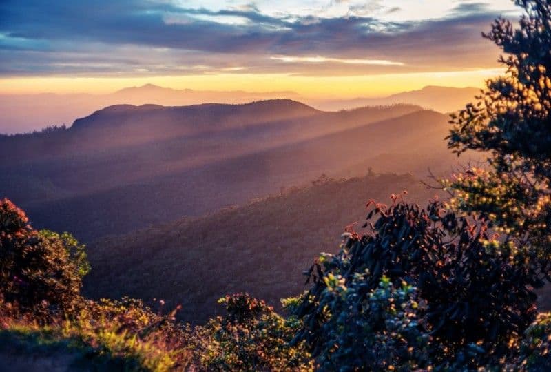 Horton Plains: The Dramatic Edge of World's End