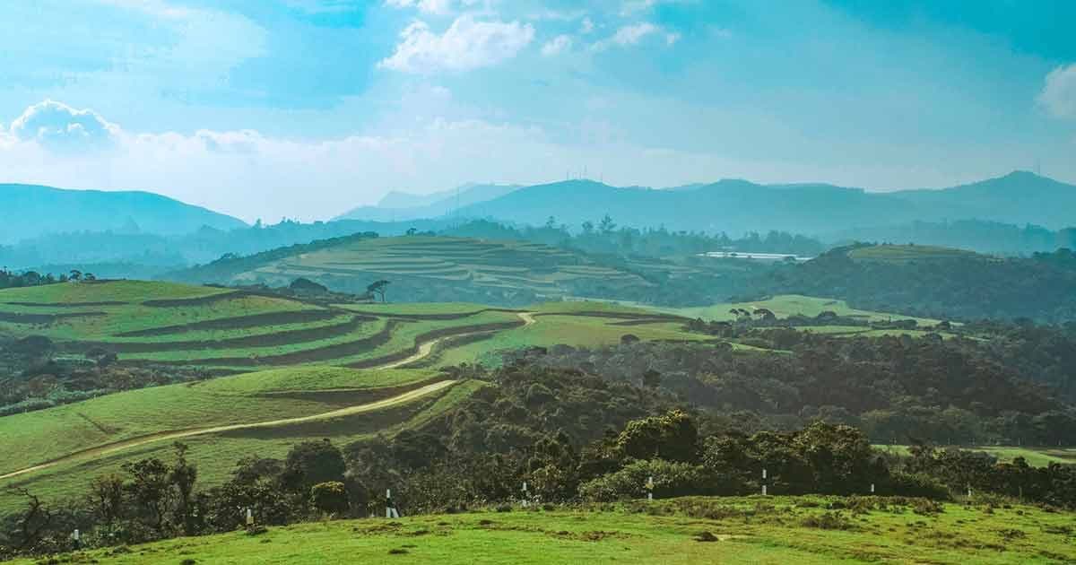 Nuwara Eliya’s 360° Horizon: The Breathtaking Moon Plains